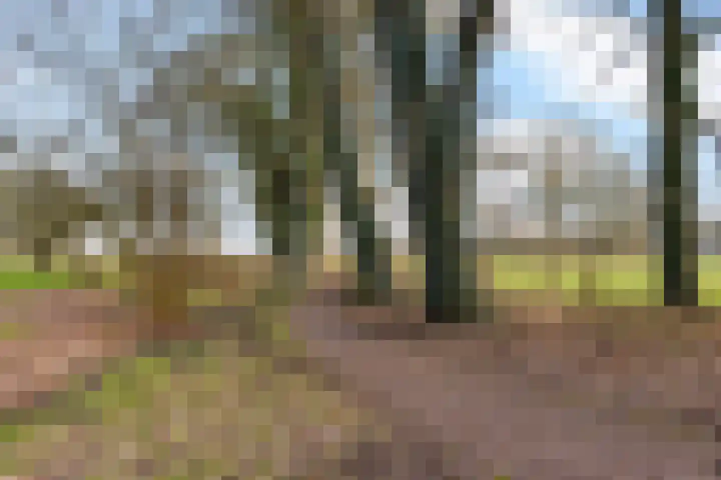 Vanekerstraat 31 Enschede thumbnail 46