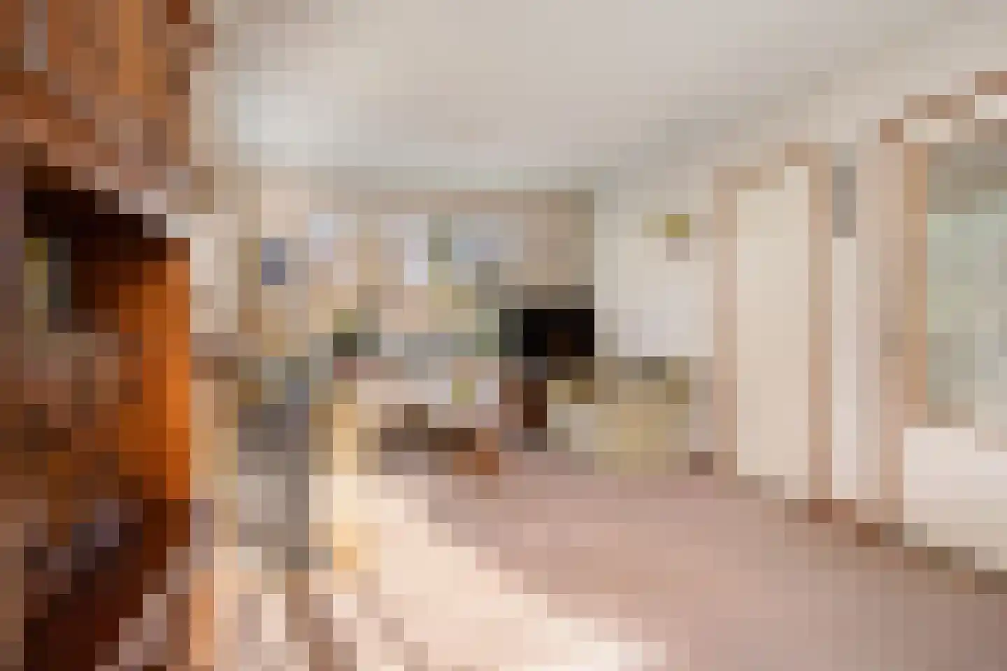 Vanekerstraat 31 Enschede thumbnail 8