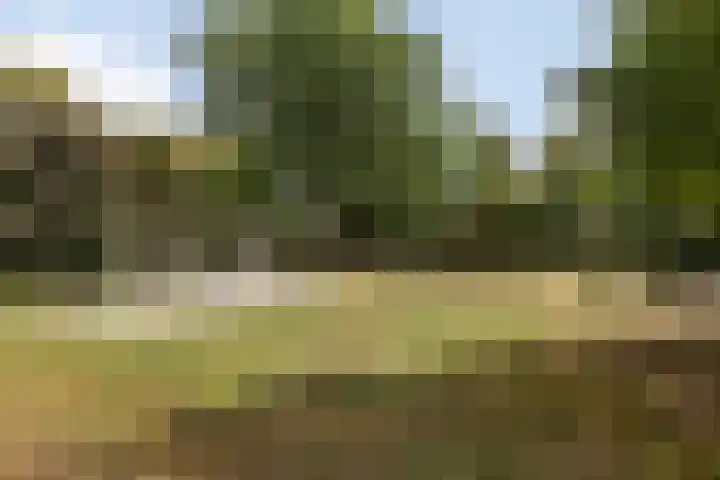 Vanenburg 1 Ugchelen thumbnail 36