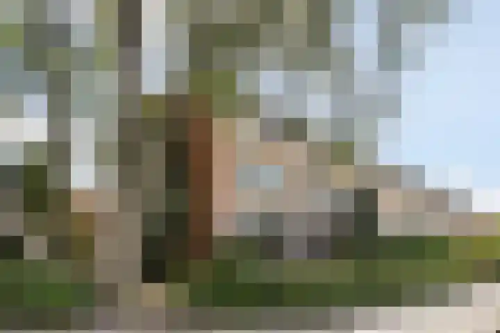 Vanenburg 1 Ugchelen thumbnail 48
