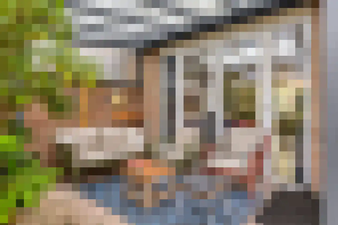 Vanenburg 6 Ugchelen thumbnail 32