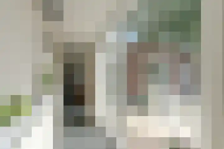 Vanenburgerhout 2 Harderwijk thumbnail 13