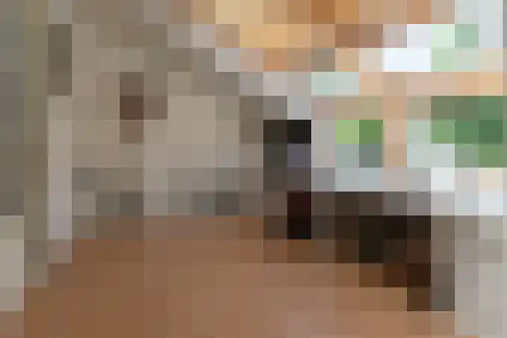 Vanenburgerhout 2 Harderwijk thumbnail 22