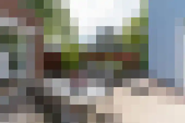 Vanenburgerhout 2 Harderwijk thumbnail 30
