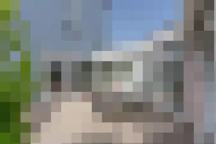 Vanenburgerhout 2 Harderwijk thumbnail 32