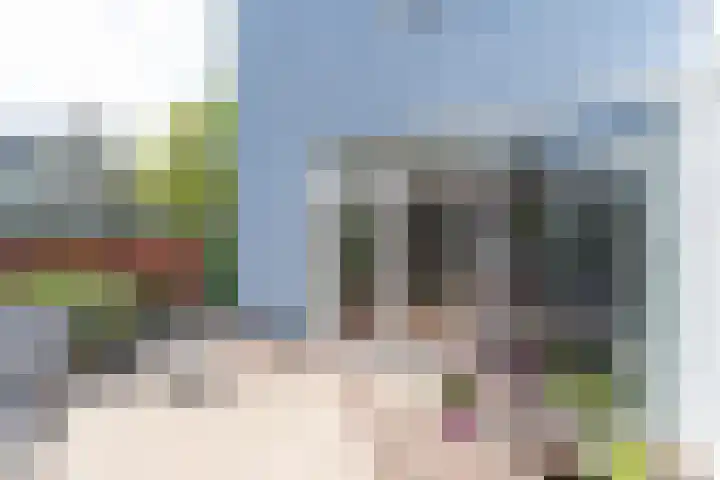 Vanenburgerhout 2 Harderwijk thumbnail 33