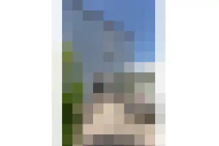 Vanenburgerhout 2 Harderwijk thumbnail 34