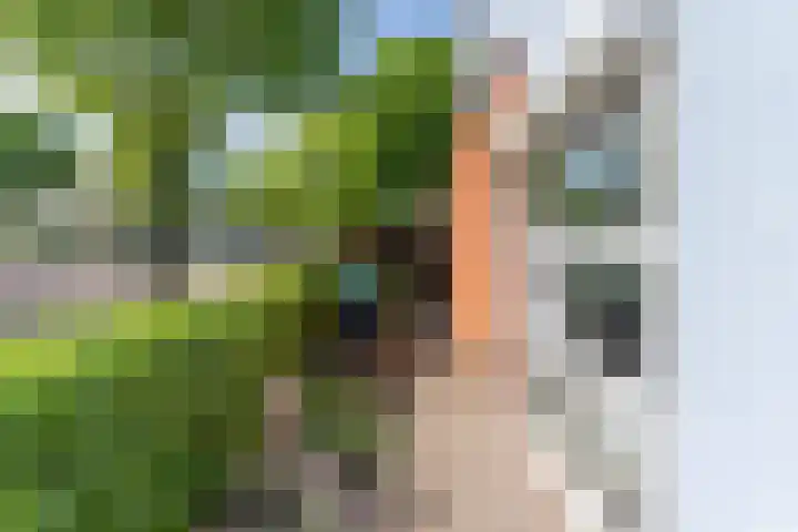 Vanenburgerhout 2 Harderwijk thumbnail 35