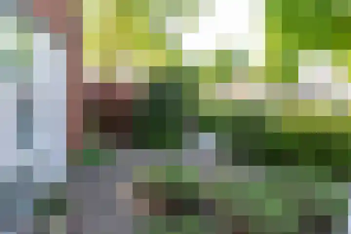 Vanenburgerhout 2 Harderwijk thumbnail 36