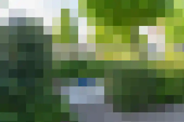 Vanenburgerhout 2 Harderwijk thumbnail 37