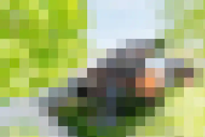 Vanenburgerhout 2 Harderwijk thumbnail 4