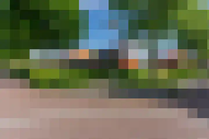 Vanenburgerhout 2 Harderwijk thumbnail 40