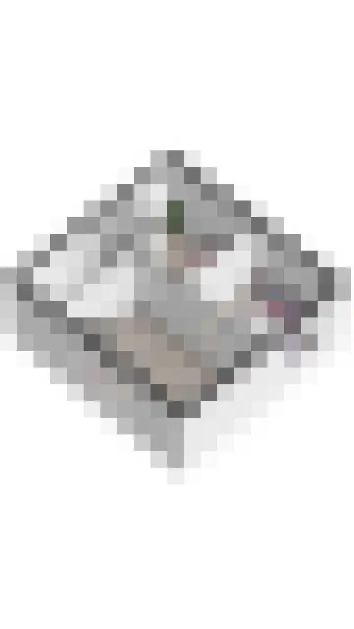 Vanenburgerhout 2 Harderwijk thumbnail 46