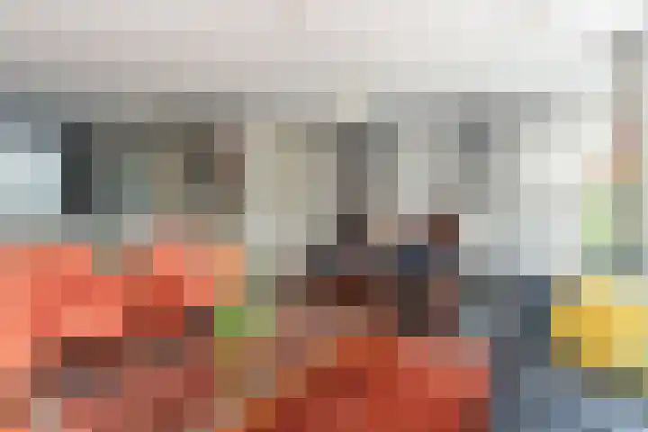 Vanenburgerhout 2 Harderwijk thumbnail 7