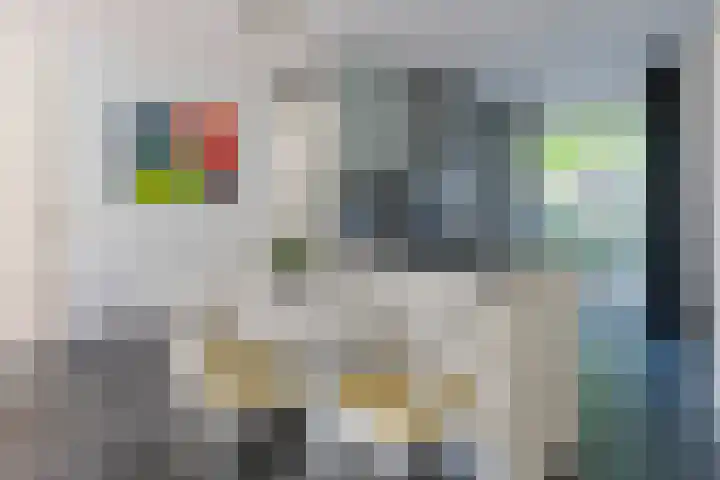 Vanenburgerhout 2 Harderwijk thumbnail 9