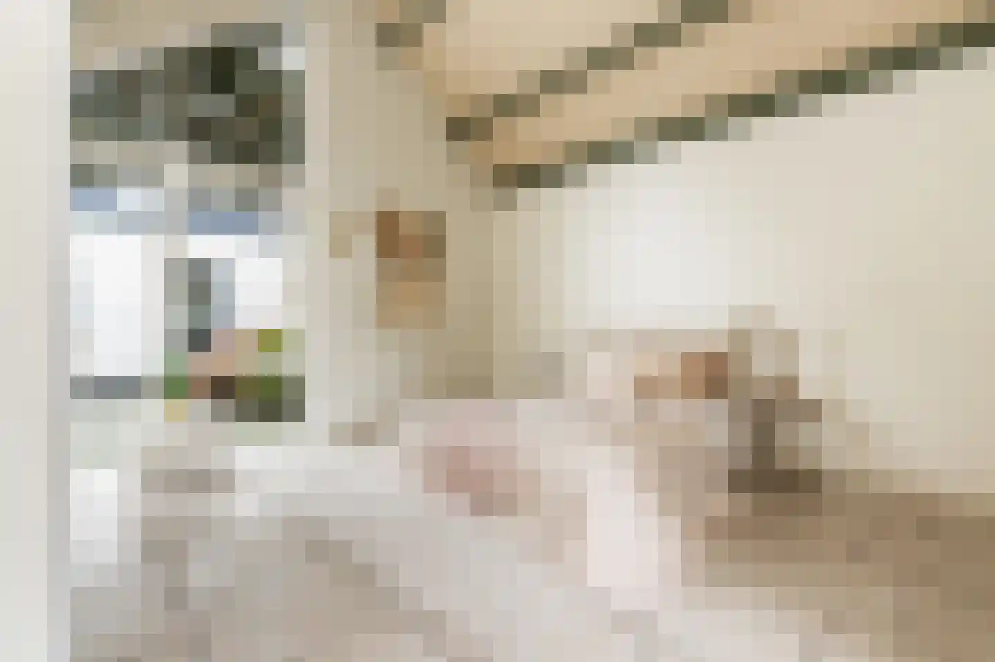 Vang 3 Almkerk thumbnail 10