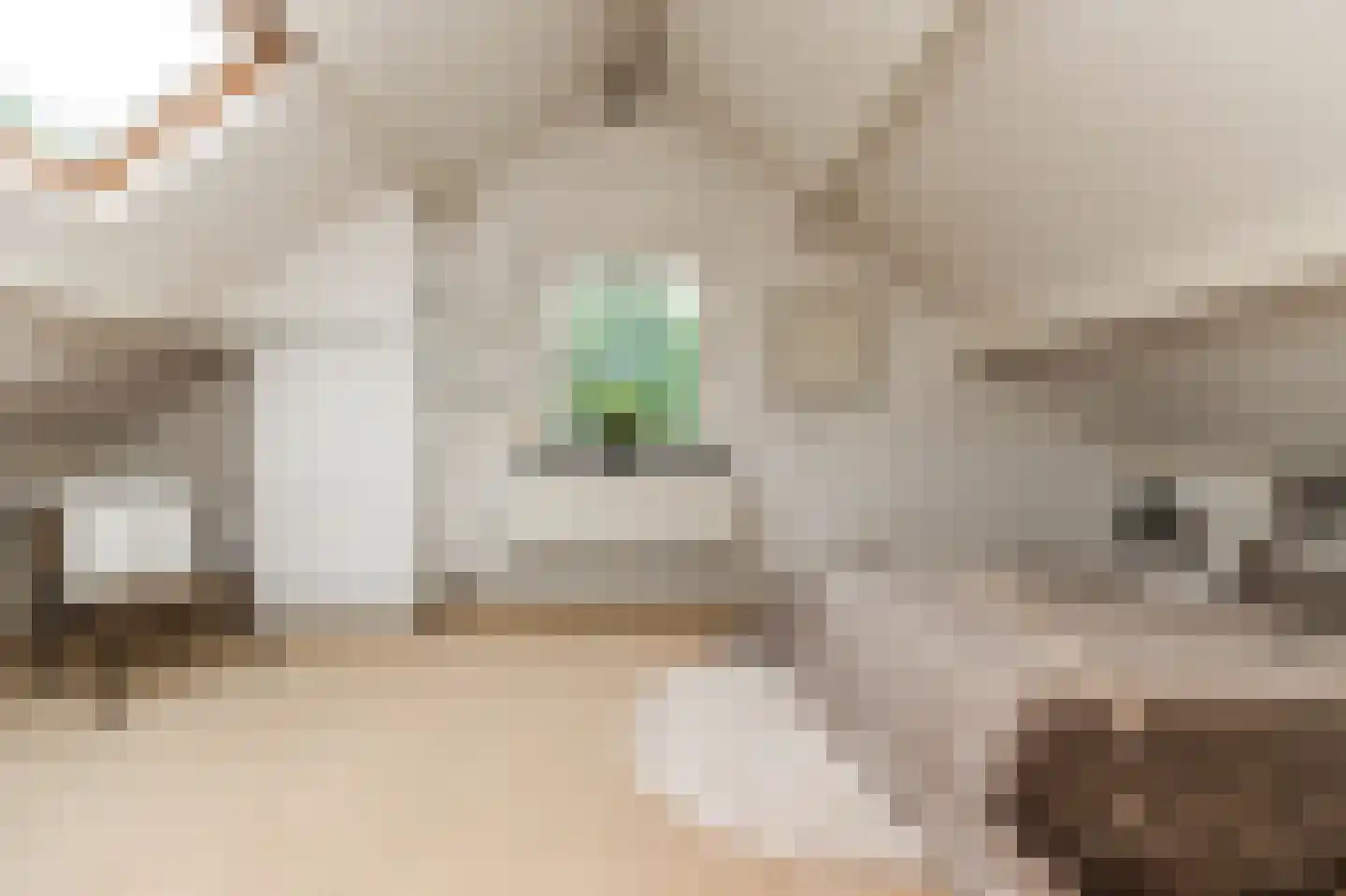 Vang 3 Almkerk thumbnail 12