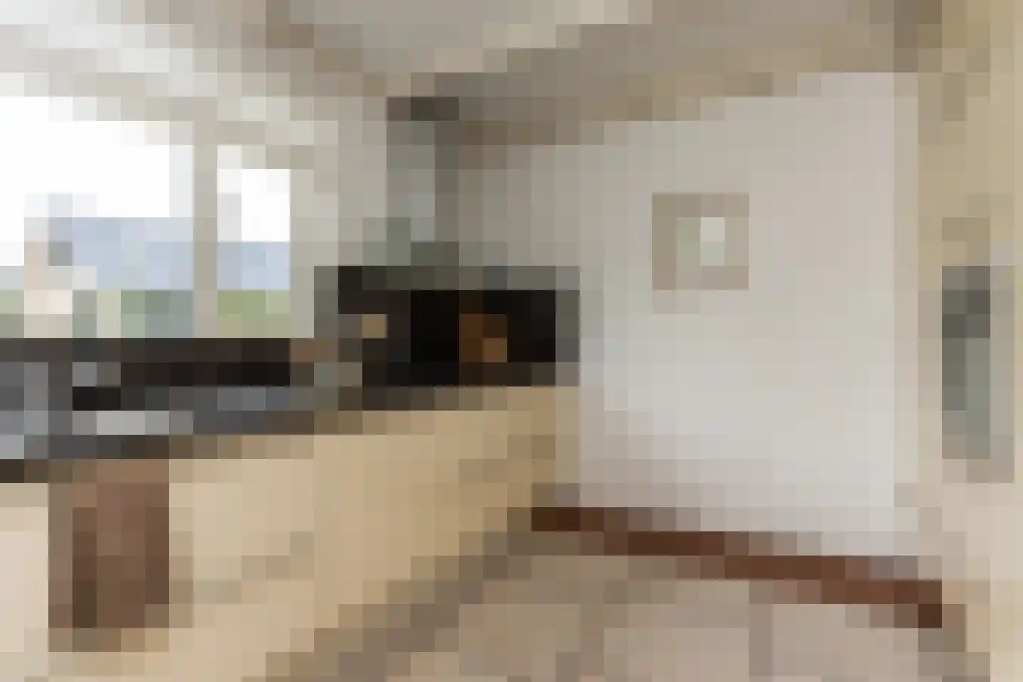 Vang 3 Almkerk thumbnail 22
