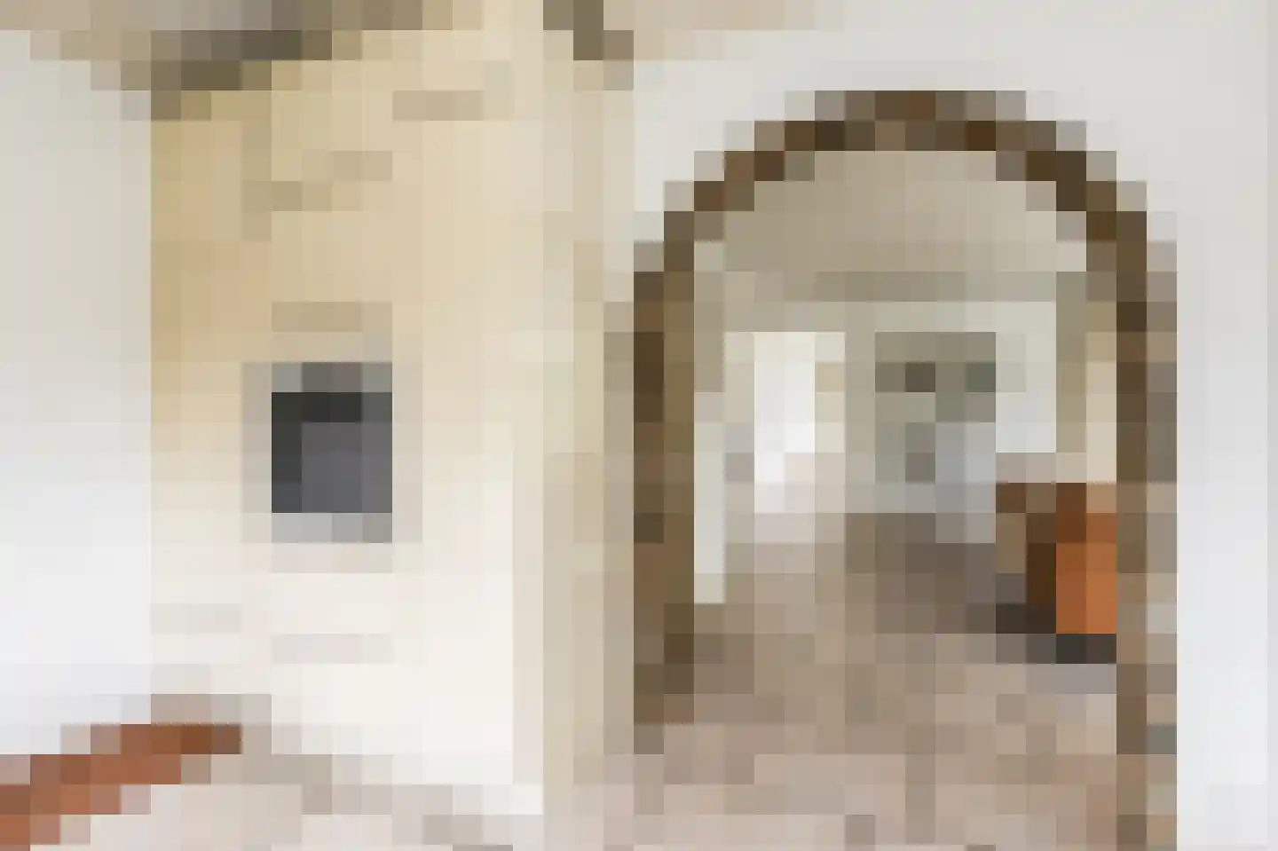 Vang 3 Almkerk thumbnail 24