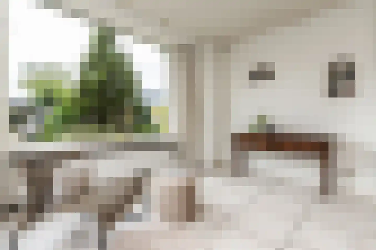 Vang 3 Almkerk thumbnail 30