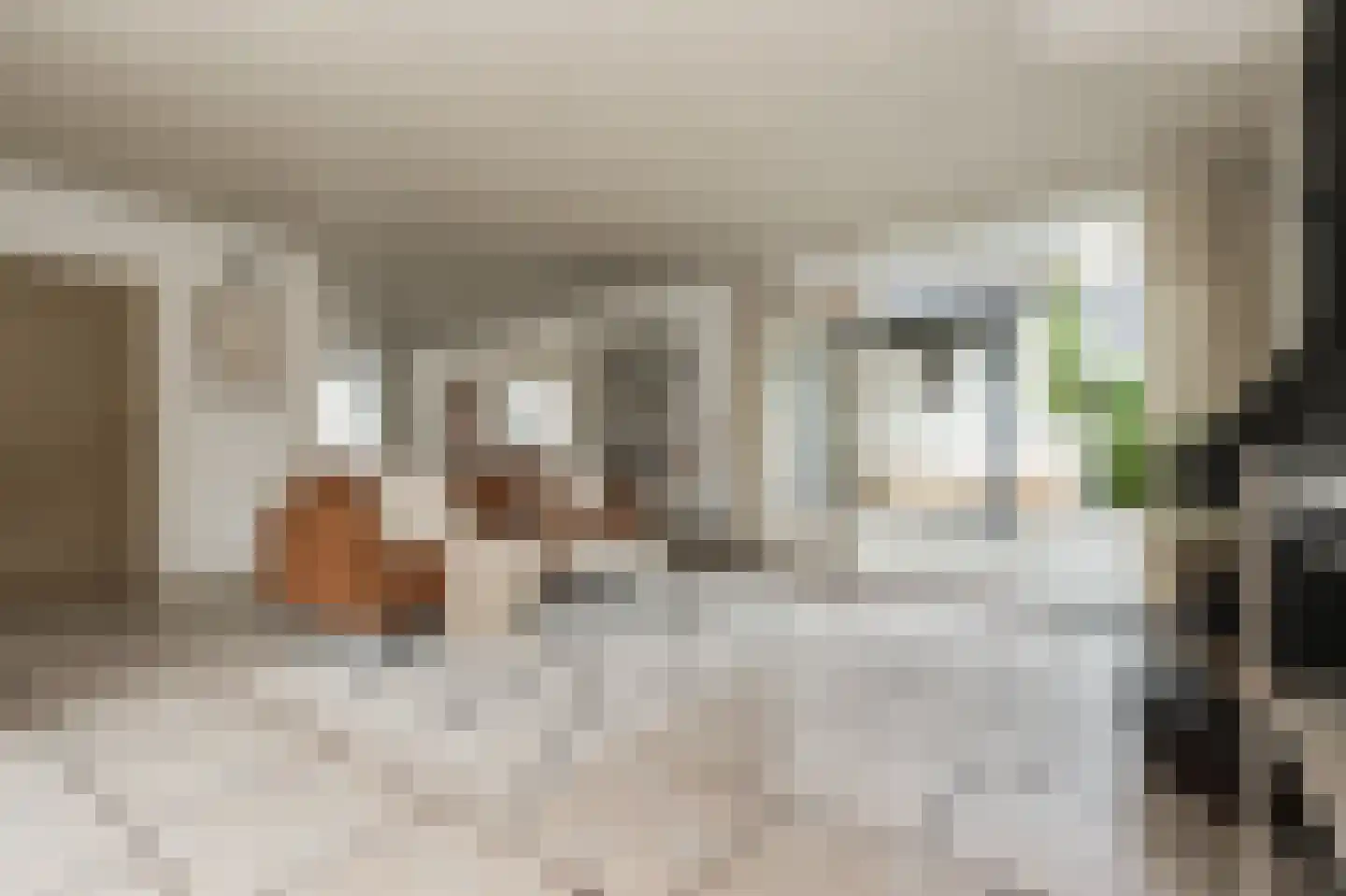 Vang 3 Almkerk thumbnail 31