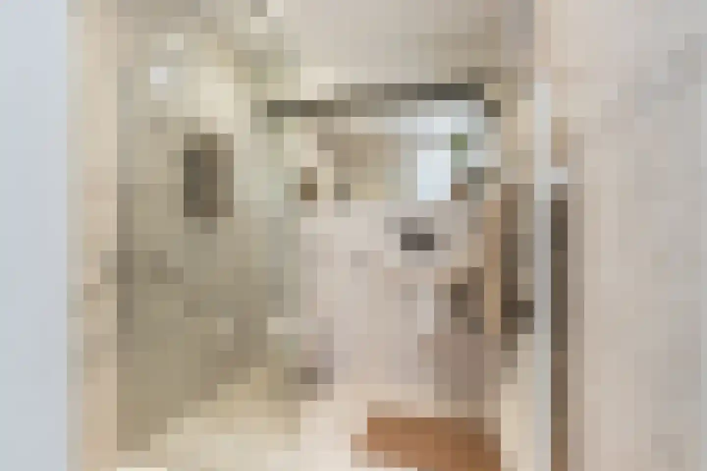 Vang 3 Almkerk thumbnail 50