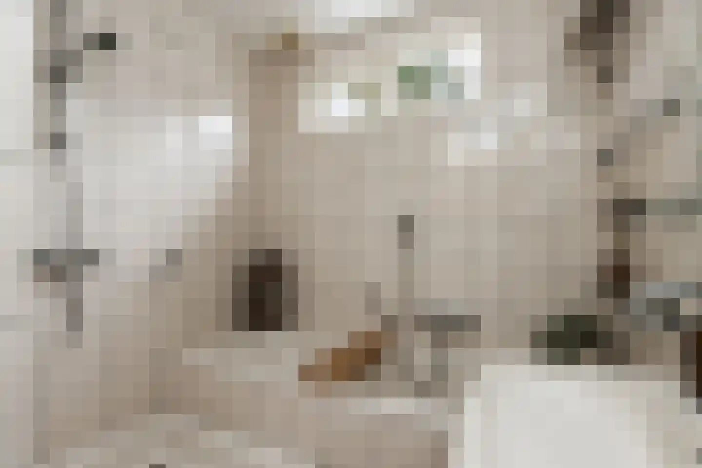Vang 3 Almkerk thumbnail 55