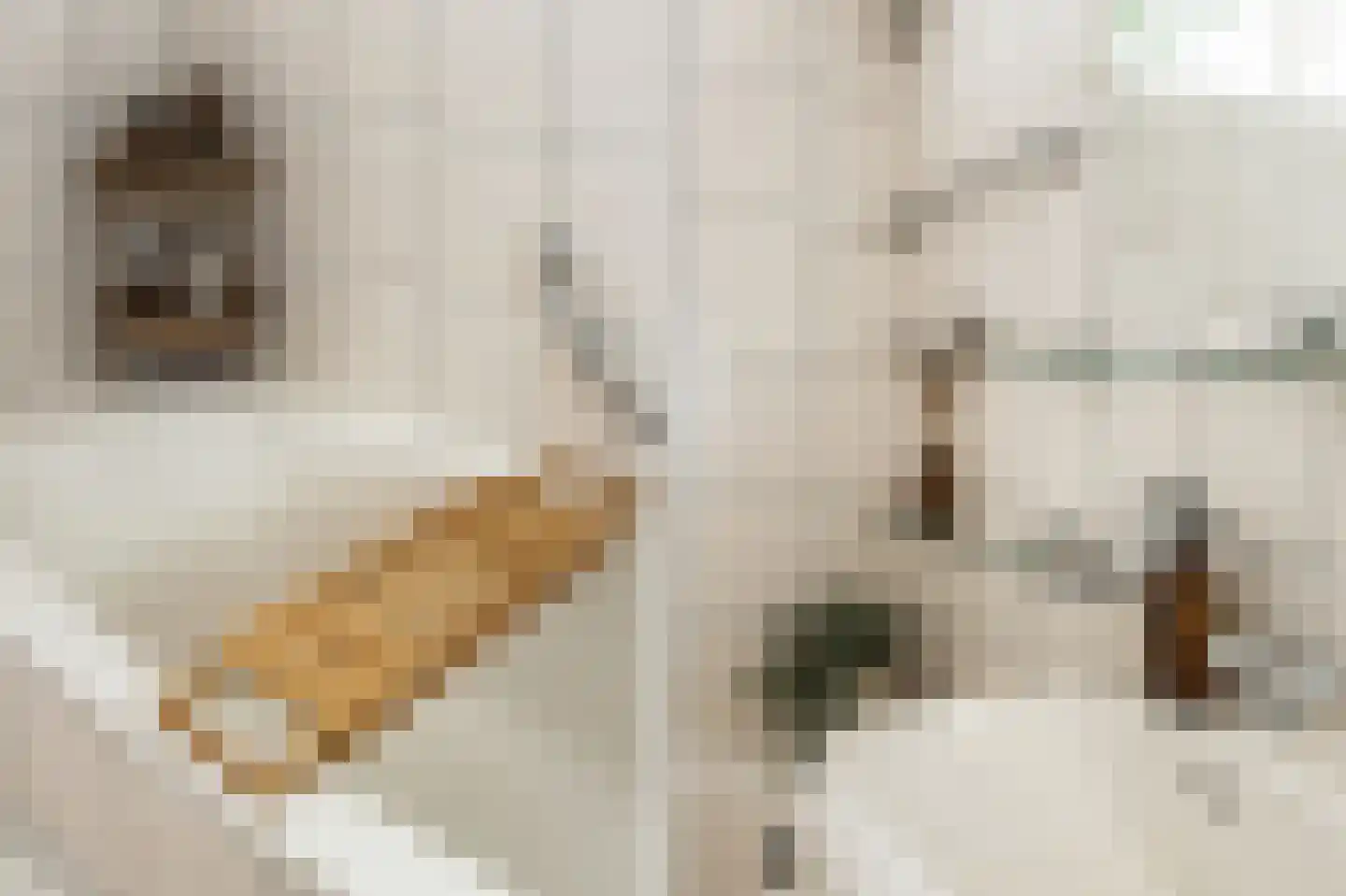 Vang 3 Almkerk thumbnail 57