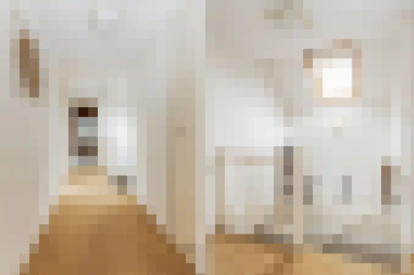 Vang 3 Almkerk thumbnail 61