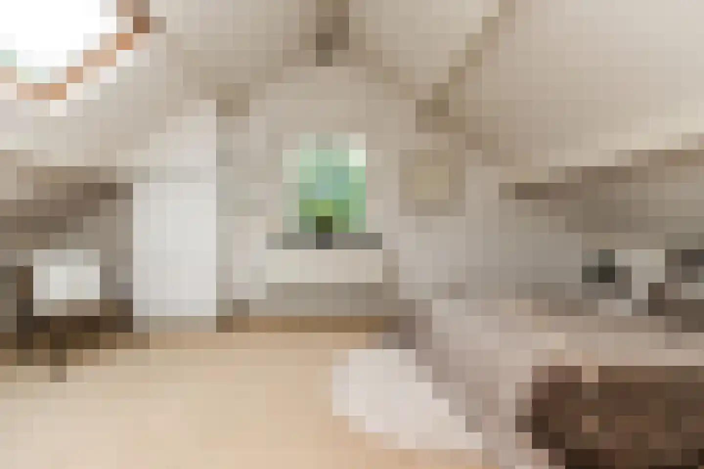 Vang 3 Almkerk thumbnail 63