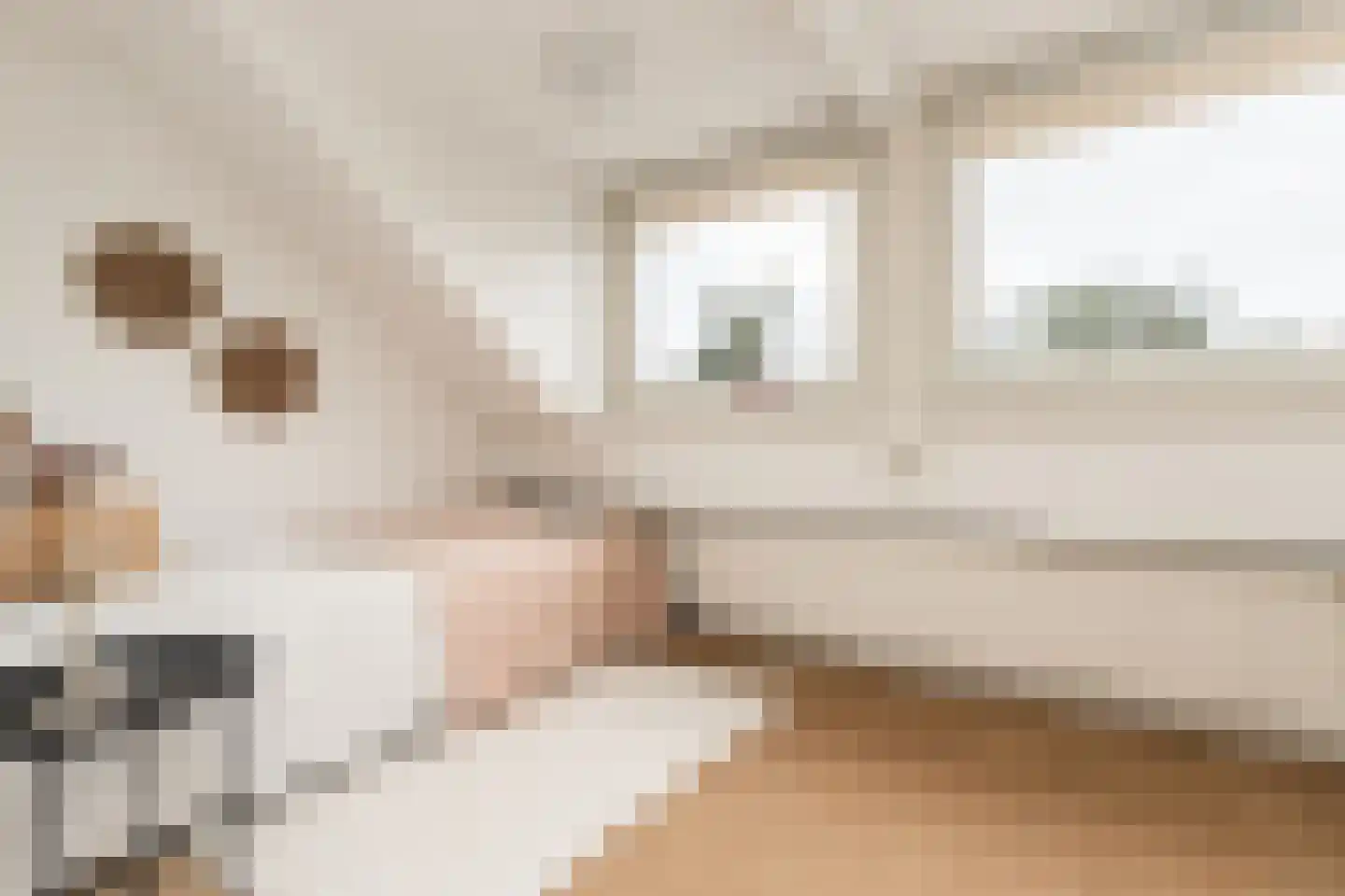 Vang 3 Almkerk thumbnail 66