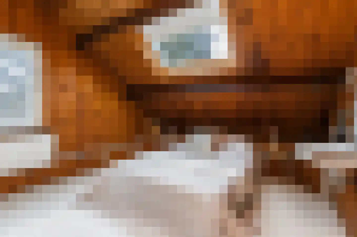 Vang 3 Almkerk thumbnail 69