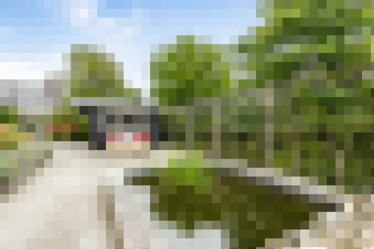 Vang 3 Almkerk thumbnail 80