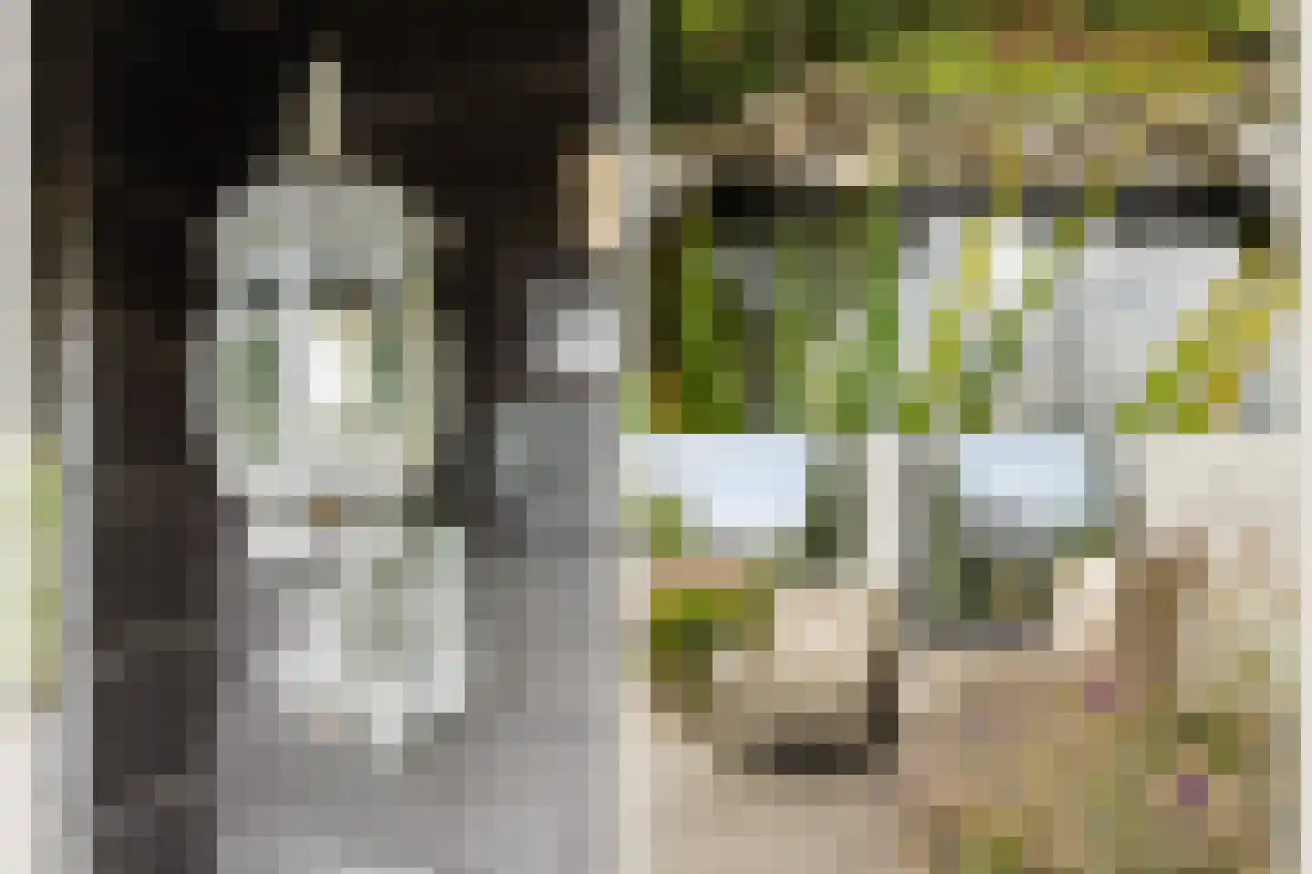Vang 3 Almkerk thumbnail 86