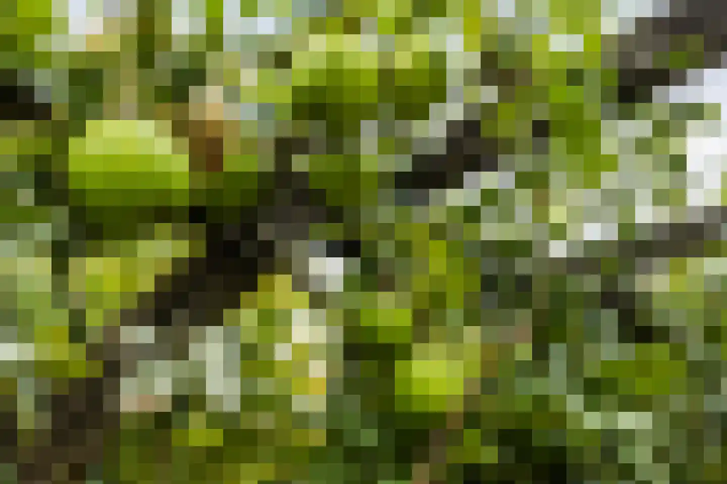 Vang 3 Almkerk thumbnail 87