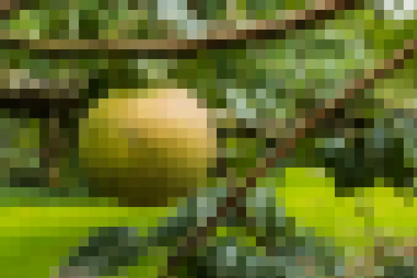 Vang 3 Almkerk thumbnail 88