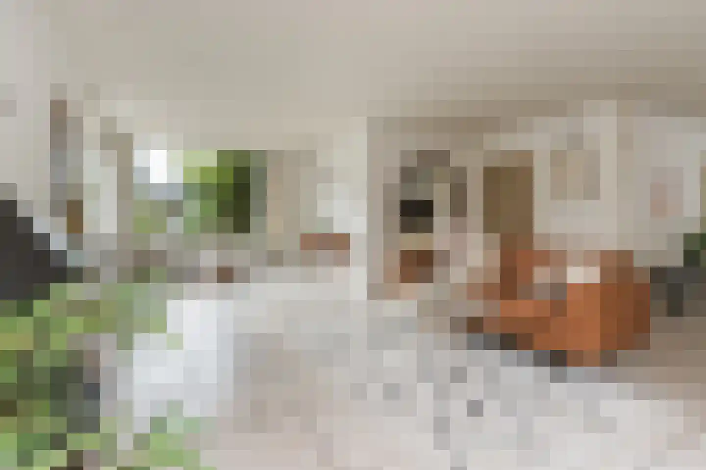 Vang 3 Almkerk thumbnail 9
