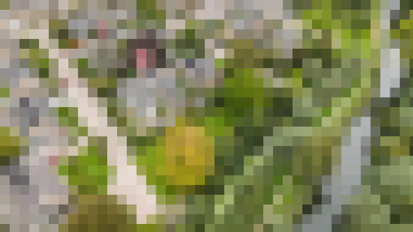 Vang 3 Almkerk thumbnail 90