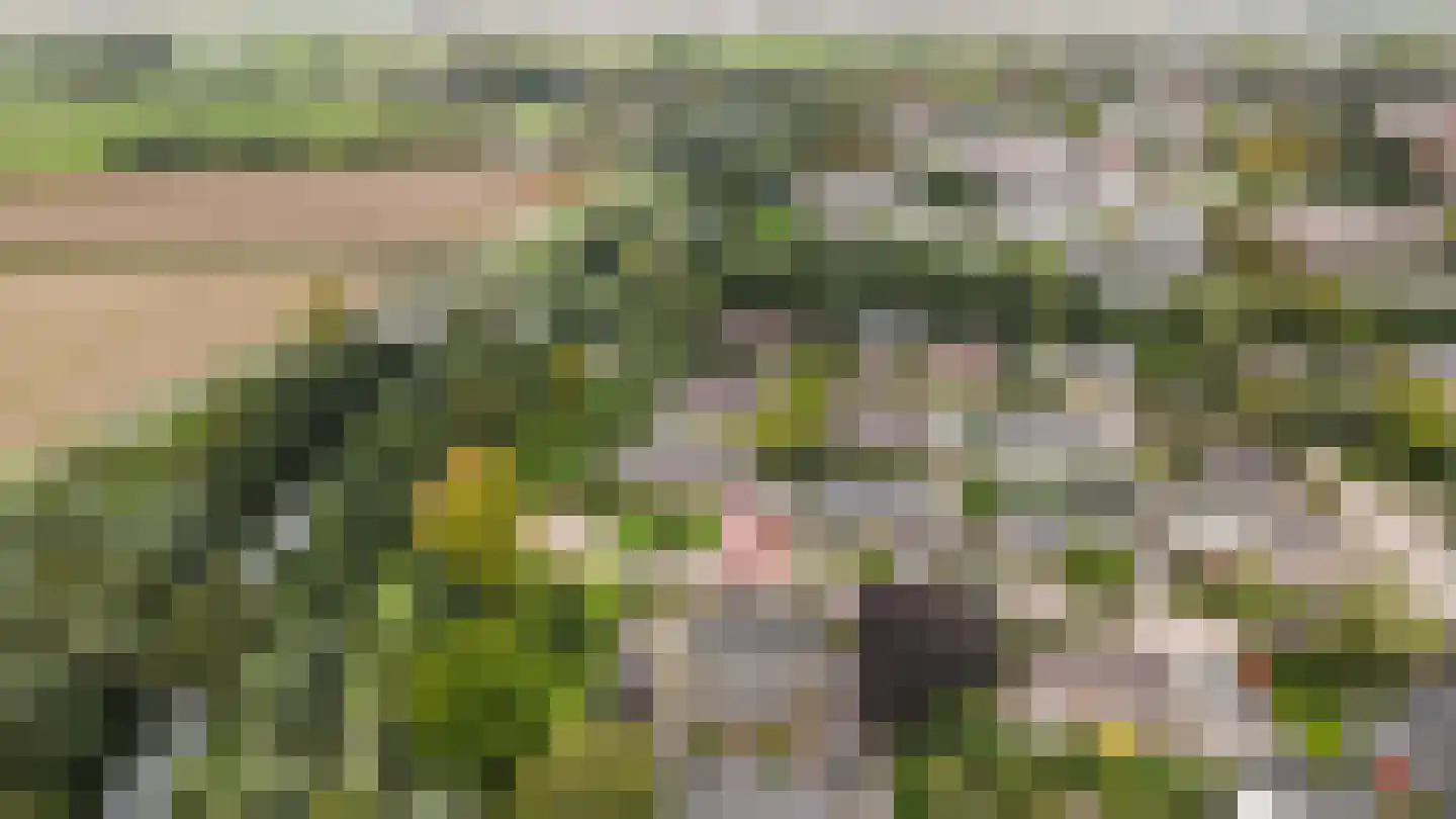 Vang 3 Almkerk thumbnail 91