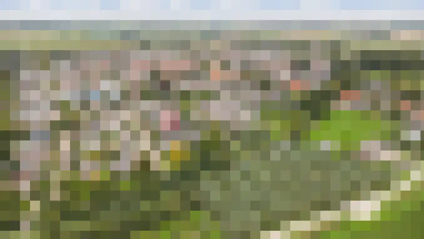 Vang 3 Almkerk thumbnail 92