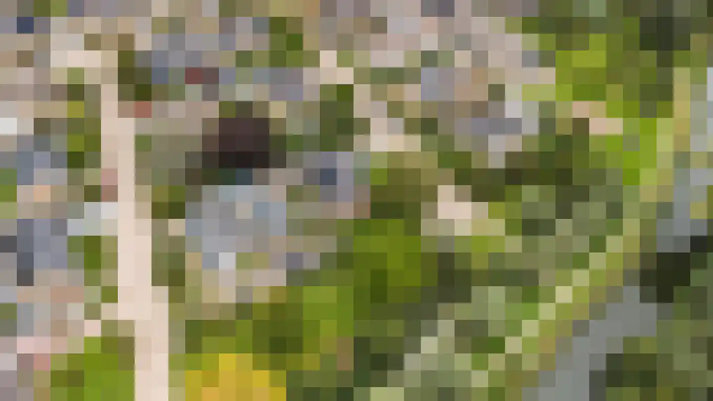 Vang 3 Almkerk thumbnail 93