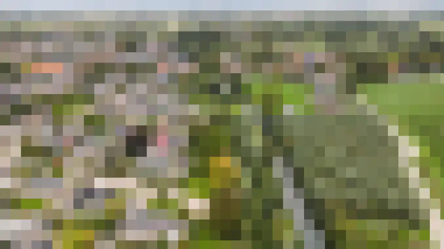 Vang 3 Almkerk thumbnail 94