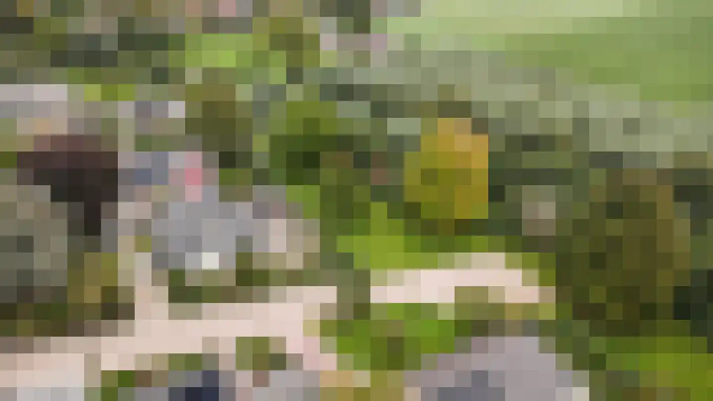 Vang 3 Almkerk thumbnail 95