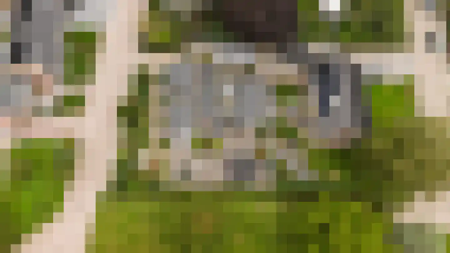 Vang 3 Almkerk thumbnail 96