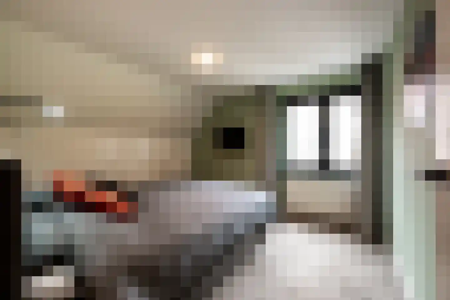 Vang 7 Schaijk thumbnail 15