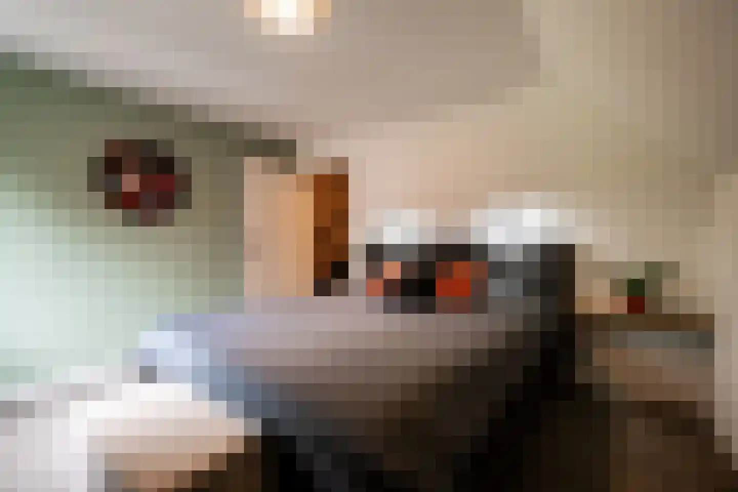 Vang 7 Schaijk thumbnail 16