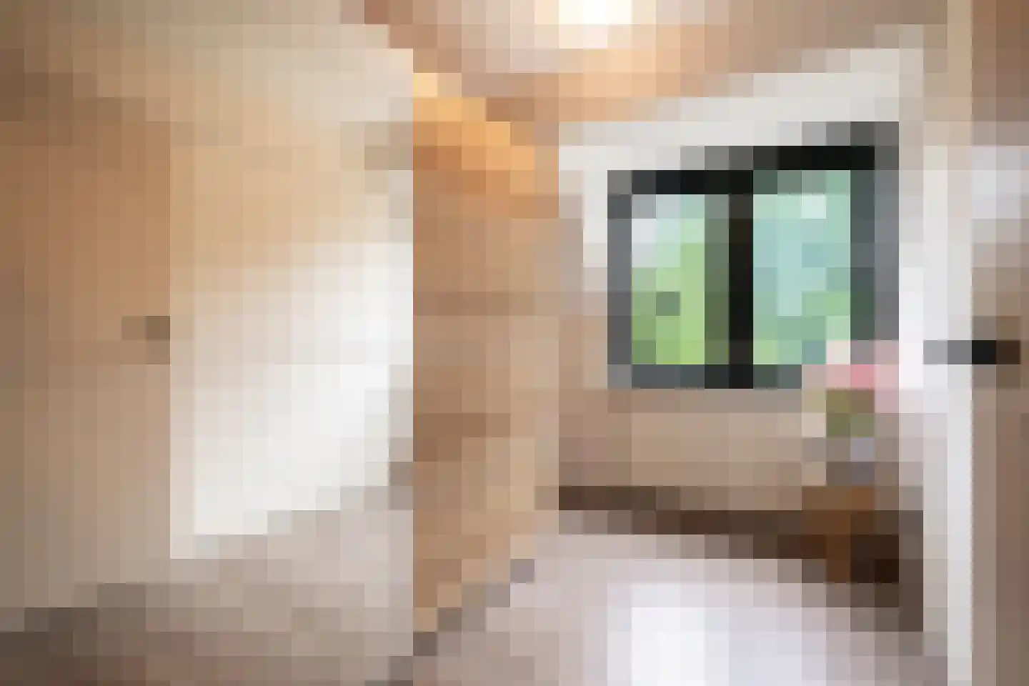 Vang 7 Schaijk thumbnail 17