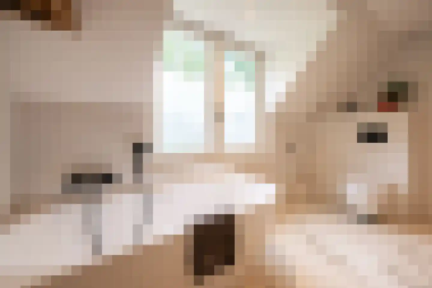 Vang 7 Schaijk thumbnail 21