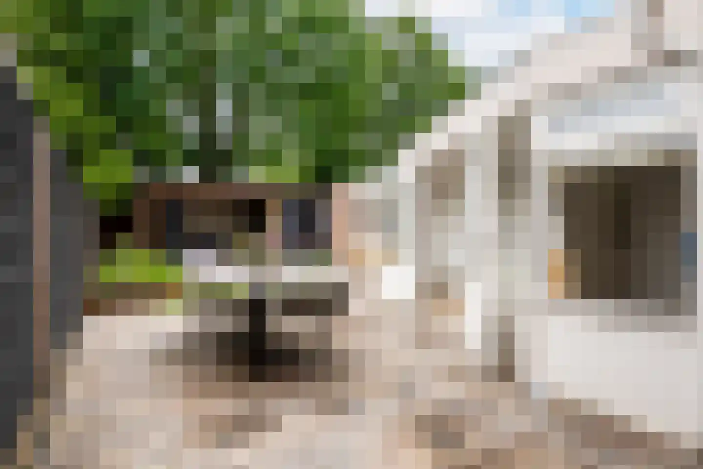 Vang 7 Schaijk thumbnail 26