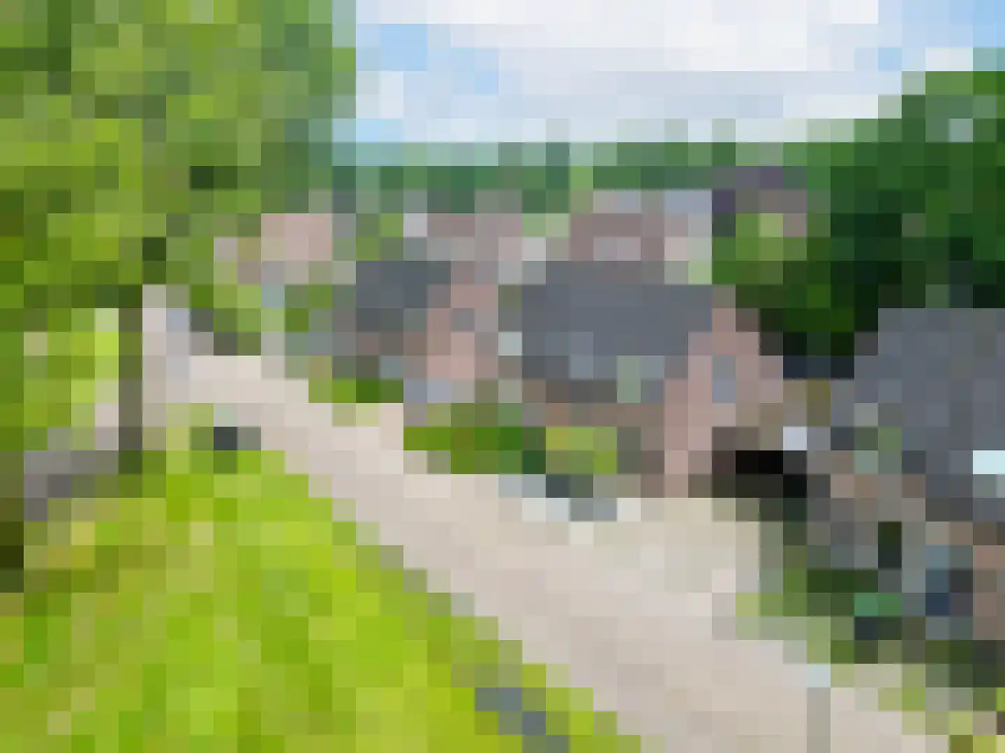 Vang 7 Schaijk thumbnail 30